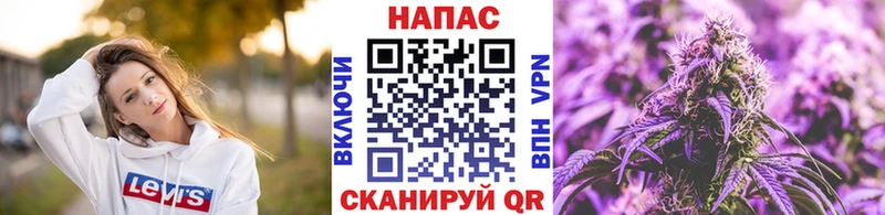 Бошки Шишки MAZAR Новохопёрск